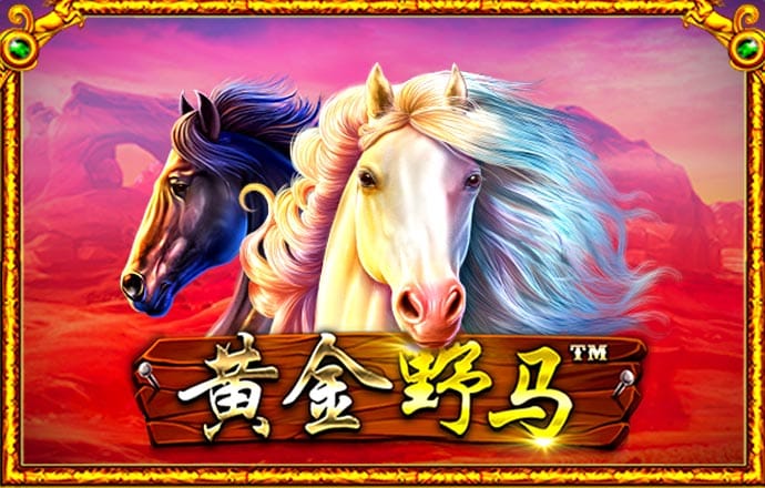 港澳宝典com.